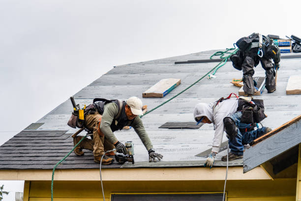 Professional Gutter Installation technician working in Hillister, TX